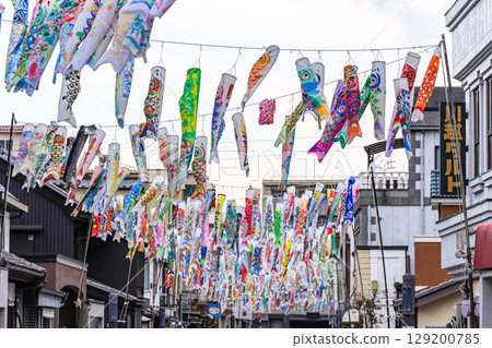 Kawagoe's seasonal feature "Swimming Carp Bokun" Kawagoe's seasonal feature "Swimming Carp Bokun" 129200785