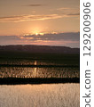 稻田和日落 129200906