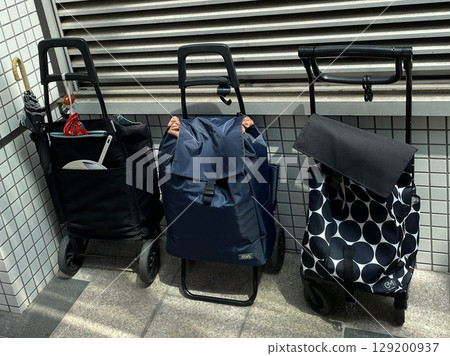 友好購物者的購物車 129200937