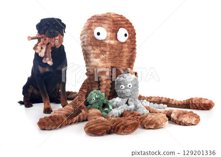 toy for dog toy for dog 129201336