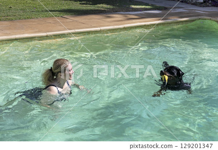 rottweiler and swimming pool rottweiler and swimming pool 129201347