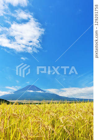 秋天藍天，米領域和富士山 129201758