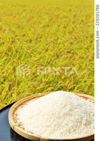 Autumn rice field and bowls Autumn rice field and bowls 129201766