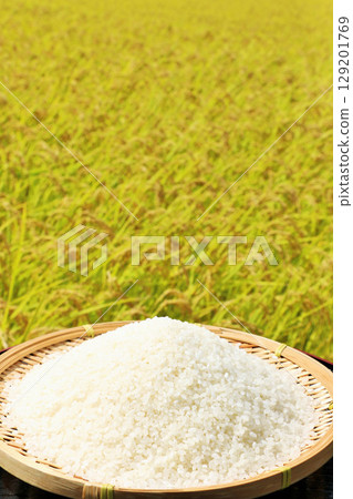 Autumn rice field and bowls 129201769
