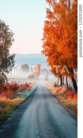 秋葉在晨曦中 129201800