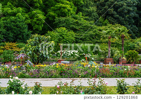 The Botanical Garden of Augsburg in Germany with garden pathes and topiary boxwood bushes on green meadows The Botanical Garden of Augsburg in Germany with garden pathes and topiary boxwood bushes on green meadows 129201868