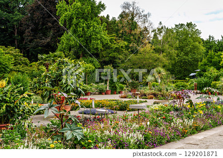 The Botanical Garden of Augsburg in Germany with garden pathes and topiary boxwood bushes on green meadows 129201871