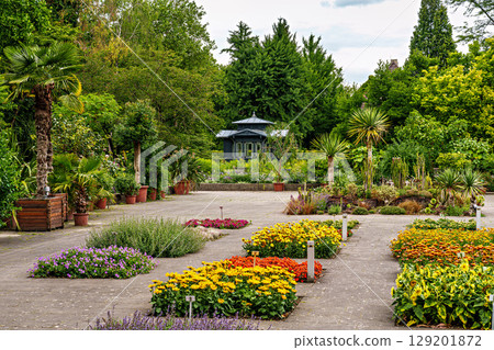 The Botanical Garden of Augsburg in Germany with garden pathes and topiary boxwood bushes on green meadows The Botanical Garden of Augsburg in Germany with garden pathes and topiary boxwood bushes on green meadows 129201872