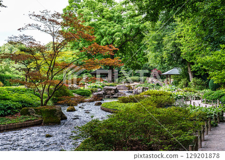 The Japanese garden in the Botanical garden in Augsburg, Germany. Lovely view on small waterfalls in japanese garden 129201878