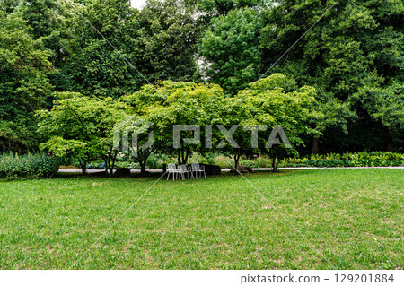 The Botanical Garden of Augsburg in Germany with garden pathes and topiary boxwood bushes on green meadows The Botanical Garden of Augsburg in Germany with garden pathes and topiary boxwood bushes on green meadows 129201884