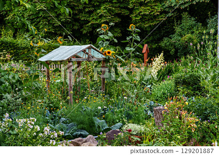 The Botanical Garden of Augsburg in Germany with garden pathes and topiary boxwood bushes on green meadows 129201887