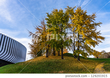 Golden autumn view in the Olympiapark in Munich, Germany, an Olympic Park for the 1972 Summer Olympics 129201915