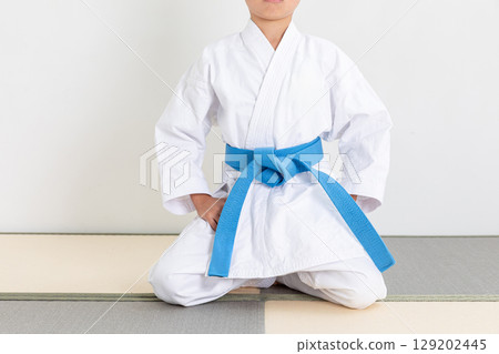 A child sitting in seiza while wearing a karate uniform A child sitting in seiza while wearing a karate uniform 129202445