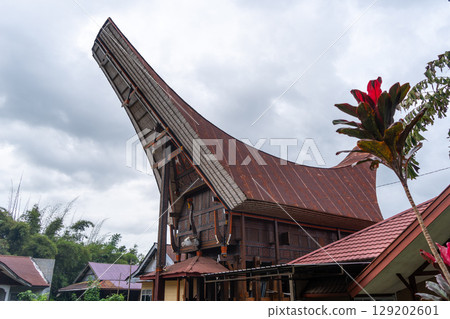 Traditional Torajan house in Toraja land, Sulawesi, Indonesia Traditional Torajan house in Toraja land, Sulawesi, Indonesia 129202601