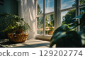 Bright sunlight illuminates a window and indoor plants, creating a peaceful home scene. 129202774