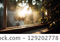 Close-up of raindrops on an old window with soft golden sunlight, view of nature outside. 129202778