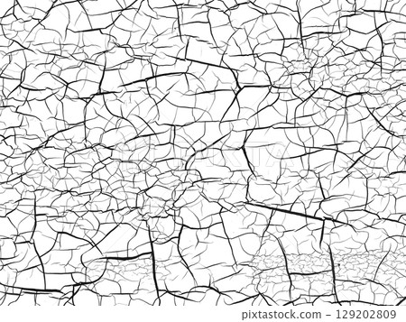 A background of fine black cracks on a white background A background of fine black cracks on a white background 129202809