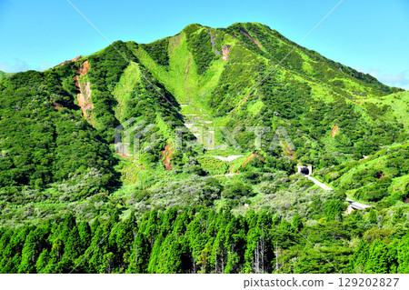 Scenery around the Aso Panorama Line (Prefectural Route 111 Aso Yoshida Line) (Minamiaso Village, Kumamoto Prefecture) [July 2025] 129202827