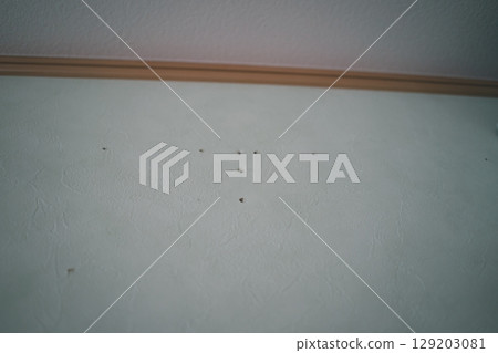 Screw holes left after removing the air conditioner 129203081