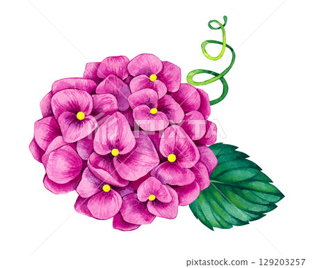 Hand drawn watercolor illustration Whispers of the Garden 129203257