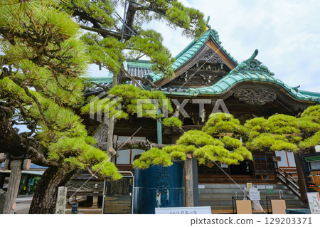 東京葛飾區柴又帝釋天寺 - 帝釋堂與幸運龍松 129203371