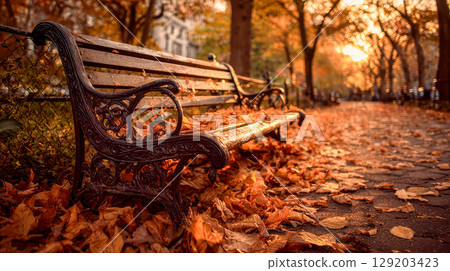 View of an empty park with autumn leaves, an empty bench among the trees 129203423