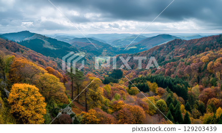 View of mountains, trees covered with autumn leaves under cloudy sky 129203439