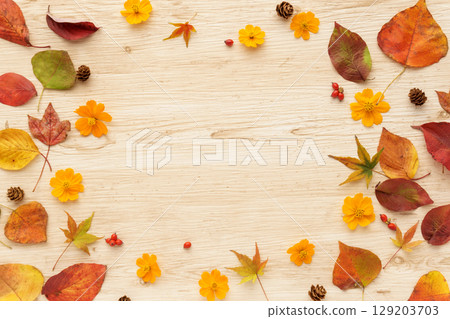 Fallen leaves and yellow cosmos frame Fallen leaves and yellow cosmos frame 129203703