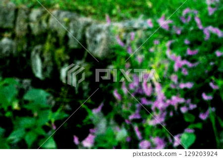 Rough paper and blurry image of small purple flowers 129203924