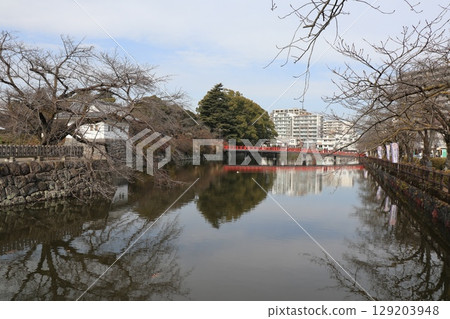 Scenery of Odawara Castle in Odawara City, Kanagawa Prefecture 129203948