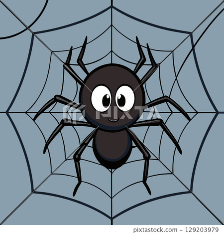 cute spider in web 129203979
