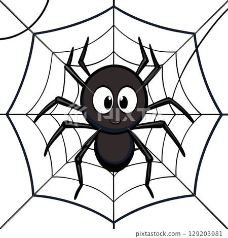 cute spider in web 129203981