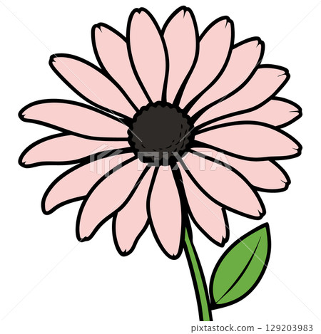 Rose daisy chamomile. Cute round flower plant collection. 129203983