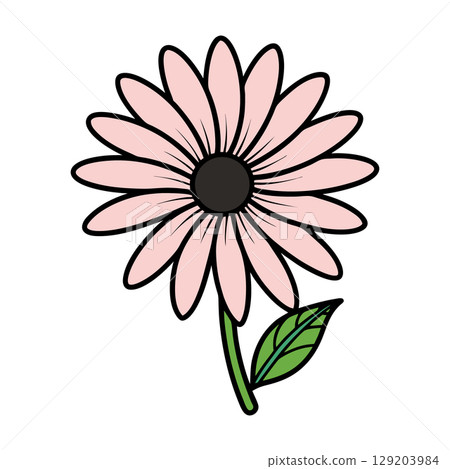 Rose daisy chamomile. Cute round flower plant collection. Rose daisy chamomile. Cute round flower plant collection. 129203984