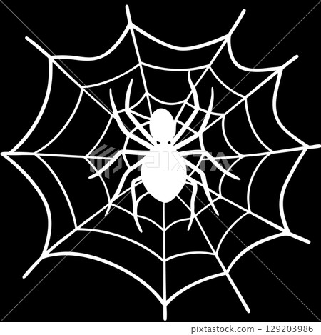 cute spider in web 129203986