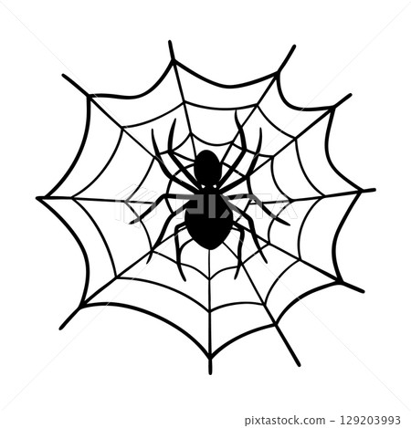 cute spider in web 129203993
