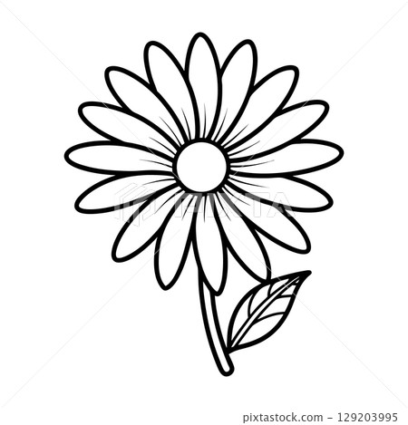 White daisy chamomile. Cute round flower plant collection. 129203995