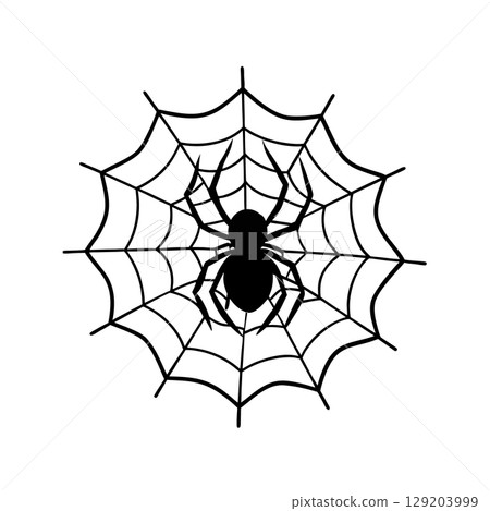cute spider in web 129203999