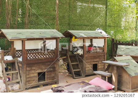 Several rustic wooden animal houses are arranged in an inviting outdoor area surrounded by foliage. House for homeless cats. 129205167