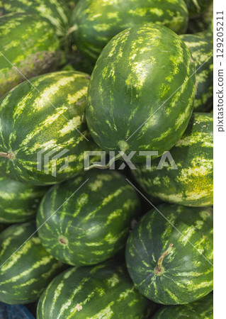 A vibrant collection of fresh watermelons fills the market stall, with their green striped exterior glistening under the light. The scene captures the abundance of summer fruits A vibrant collection of fresh watermelons fills the market stall, with their green striped exterior glistening under the light. The scene captures the abundance of summer fruits 129205211