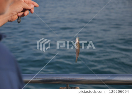 Fisherman catches a small fish by the water 129206094