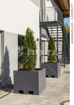 Two large, gray planters containing lush conifer trees are placed alongside a contemporary building entrance, creating a stylish outdoor environment near a metal staircase Two large, gray planters containing lush conifer trees are placed alongside a contemporary building entrance, creating a stylish outdoor environment near a metal staircase 129206277