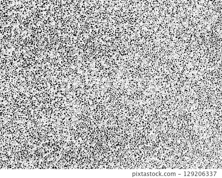 A background of black dots on a white background 129206337