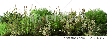 A variety of lush green plants create a vibrant footer, isolated on white background. The distinct textures and colors of the foliage enhance the natural beauty of the landscape. Bottom border. 3D. 129206347