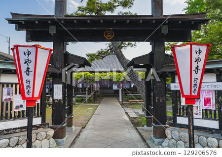 Kumano's long wisteria in Iwata City (Shizuoka Prefecture) 129206576