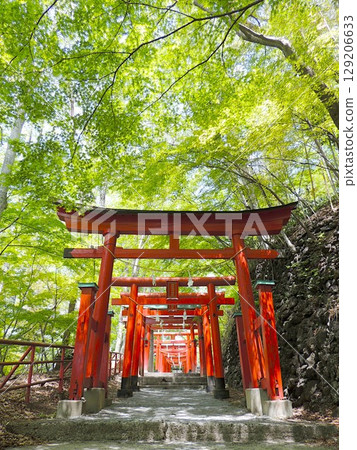 Shrine Inari Shrine Shrine Inari Shrine 129206633