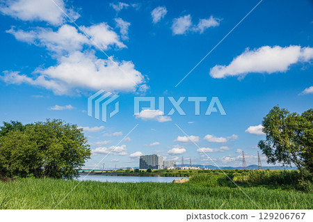 大阪府枚方市淀川流域自然公園淀川的夏日風景 大阪府枚方市淀川流域自然公園淀川的夏日風景 129206767
