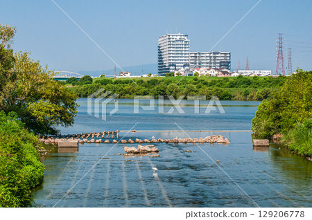 大阪府枚方市天野川與淀川交會處的淀川夏日風景 129206778