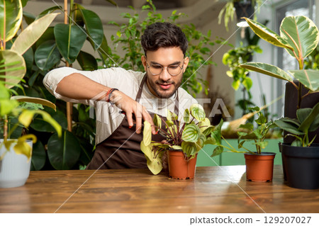Young man working in the flower shop and looking involved Young man working in the flower shop and looking involved 129207027