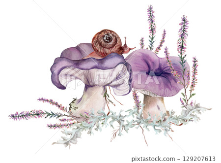 Russula webcap mushroom, snail on top, moss lichen growth, heather flowers. Nature illustration hand drawn in watercolor. Woodland floor habitat scene. Forest festival posters, educational printables Russula webcap mushroom, snail on top, moss lichen growth, heather flowers. Nature illustration hand drawn in watercolor. Woodland floor habitat scene. Forest festival posters, educational printables 129207613